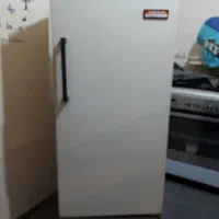 یخچال فریزر ۱۰ فوت ارج