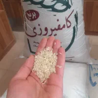 برنج و خرده برنج کامفیروزی به شرط