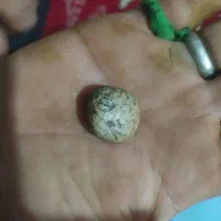 کارکرده