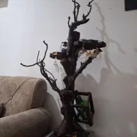 درخت بار