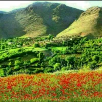 برای روزمره ی شما... خدمات