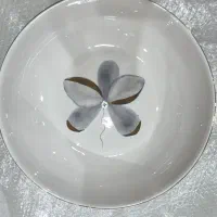 ظرف پذیرایی