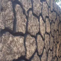 سیمانکاری و بنایی