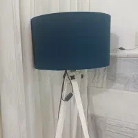 آباژور کنارسالنی