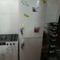 یخچال فریز سالم