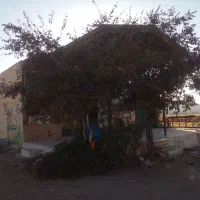 رستوران فروشی روستای بلوران|فروش زمین و ملک کلنگی|درب گنبد, |دیوار