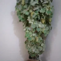 درخت انگور مصنوعی درحدنو واباژور درحدنو