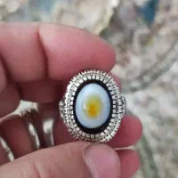 سه پوست کلکسیونی