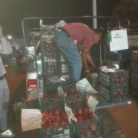 وانت پراید کرایه باربری