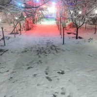 نیازمند  دو تا  شاگرد  کار در کافه  جاده باغرود