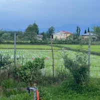 فروش زمین مسکونی ۲۷۵متری مسکونی|فروش زمین و ملک کلنگی|شاندرمن, |دیوار