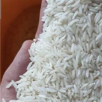 پونصد کیلو برنج هاشمی اعلا درجه۱