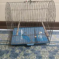 3 عدد قفس پرنده سالم|لوازم جانبی حیوانات|اهواز, زرگان|دیوار