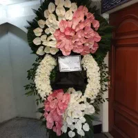 فروش تاج گل درتهران برای عرض تبریک،ختم و ترحیم|گل و گیاه طبیعی|کرج, جهان‌شهر|دیوار