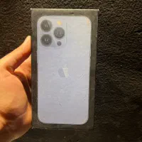 13pro