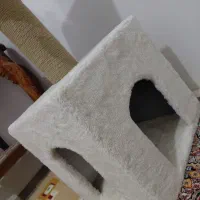 لانه گربه وساک حمل|لوازم جانبی حیوانات|زنجان, |دیوار