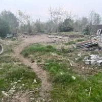 زمین مسکونی ۳۰۰ متری( زیباکنار/ولی اباد)/شخصی|فروش زمین و ملک کلنگی|رشت, بازار|دیوار