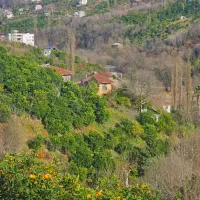 فروش زمین مسکونی زیر قیمت منطقه