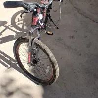 دوچرخه نوع نوع|دوچرخه، اسکیت، اسکوتر|قیدار, |دیوار