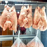 دنبه بره نرینه