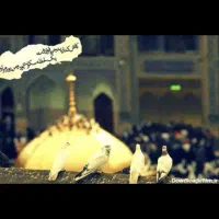 \\انتخاب هوشمندانه سفــر&/ مشهد کیش