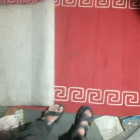 موکت کناره قرمز و ابی|موکت|تهران, مقدم|دیوار