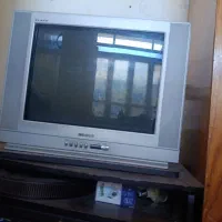 تلوزیون|تلویزیون و پروژکتور|آق قلا, |دیوار