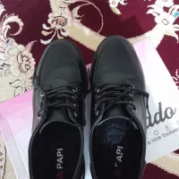 کفش|کیف، کفش، کمربند|مرند, |دیوار