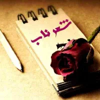 آموزش خصوصی شعر کلاسیک|خدمات آموزشی|مشکین‌دشت, |دیوار