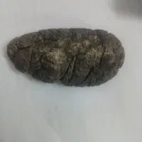 شهاب سنگ