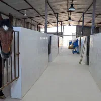 پانسیون اسب و آموزش سوارکاری