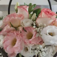 مشاوره ودرمان تله های زندگی