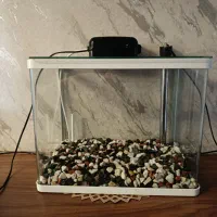 آکواریوم.شیشه خم