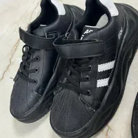 ۱۲ جفت کفش و کتانی فروشی