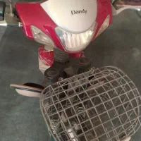 موتور برقی شارژی دندی