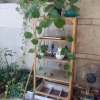 چوبی قفس و یا استند گل و وسیله