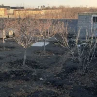 باغ-550متر-انتهای-توس-41