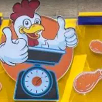 مغازه-میخوام-برای-مرغ-فروشی