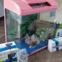 آکواریوم رومیزی کمری اصل|ماهی|تهران, قاسمآباد|دیوار