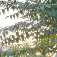 ملک اباد محل ویلا و خونه ۱۰۰ متر نوساز آب برق گاز