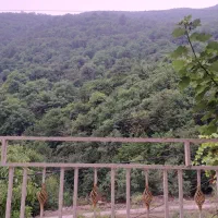معاوضه ویلا کوه با آپارتمان صیاد