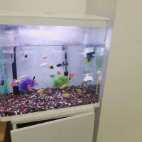 آکواریوم دلسا مدل k500