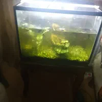 آکواریوم 50*70 شرکتی با کلیه لوازم