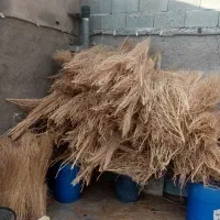 جارو فراشی، جارو سوپوری، جارو شهرداری|لوازم نظافت|قزوین, |دیوار