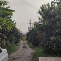 باغ در رودان گشوییه|فروش خانه و ویلا|بیکاه, |دیوار