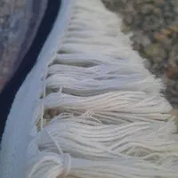 قالیشویی شهروند|خدمات نظافت|زابل, |دیوار