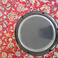 تیمپو