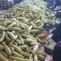 کارگرساده خانم|استخدام صنعتی، فنی، مهندسی|شیراز, ده پیاله|دیوار