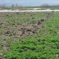 زمین-مناسب-باغ-وویلا-میاندربند