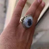 انگشتر شجر تک درخت زیبا